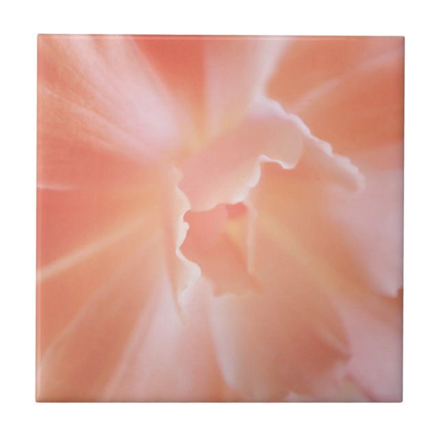 Gorgeous Soft Salmon Coloured Begonia Ceramic Tile (Front)