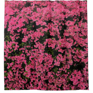 Gorgeous Spring Pink Tree Picture Nature Shower Curtain