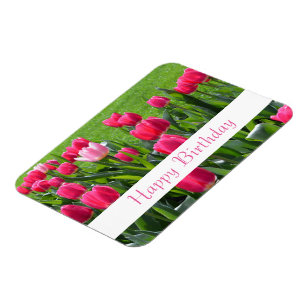 gorgeous spring pink tulip flowers happy birthday magnet