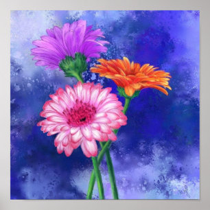 Gorgeous Three Colour Gerberas - Migned Art Drawin Poster