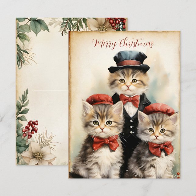 Gorgeous Three Kitten Family Christmas  Postcard (Front/Back)