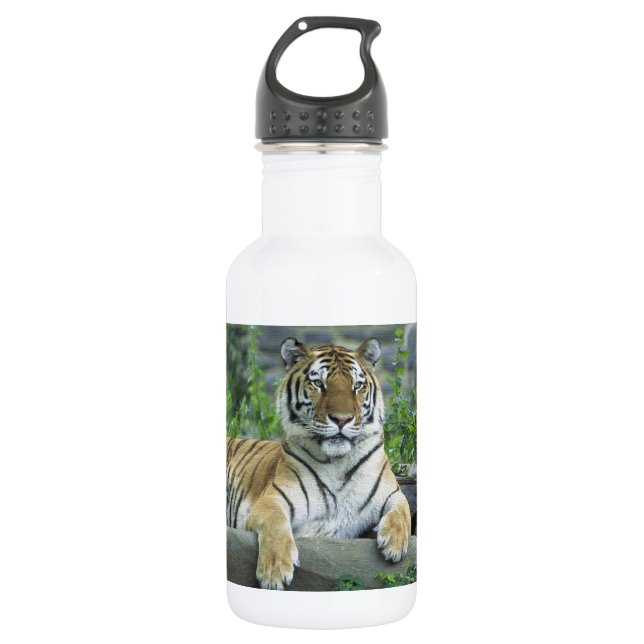 GORGEOUS TIGER 532 ML WATER BOTTLE (Front)
