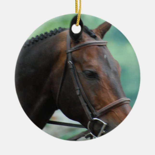 Gorgeous Warmblood Horse Ornament (Front)
