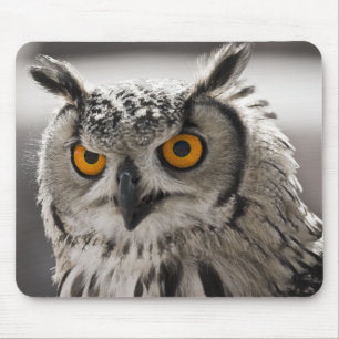 Gorgeous White Owl Mousepad