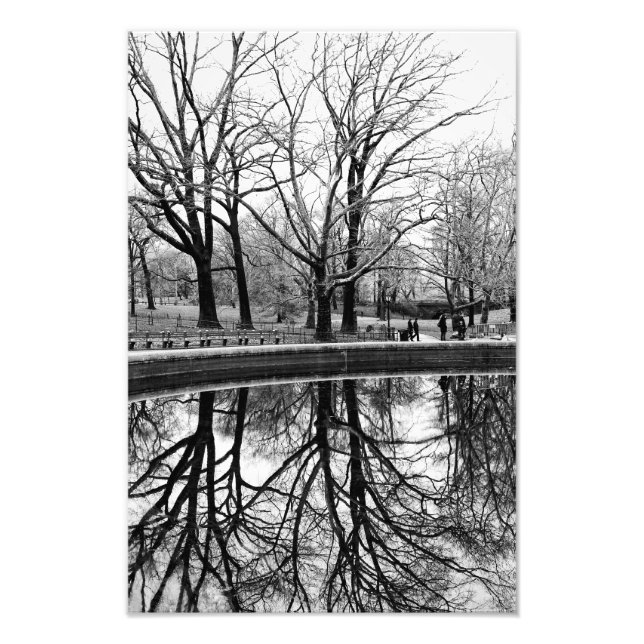 Gorgeous Winter Landscape in Central Park Photo Print (Front)