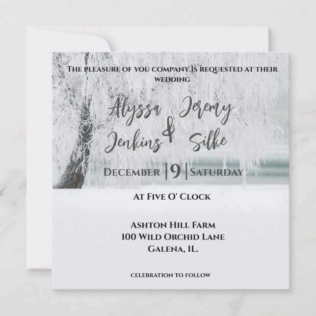 Gorgeous Winter Tree Invitation (Front)