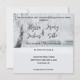 Gorgeous Winter Tree Invitation