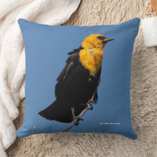 Gorgeous Yellow-Headed Blackbird on a Windy Day Cushion
