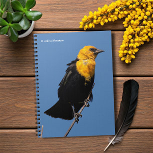 Gorgeous Yellow-Headed Blackbird on a Windy Day Notebook