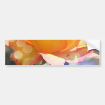 Gorgeous yellow rose flower.  Floral photography.