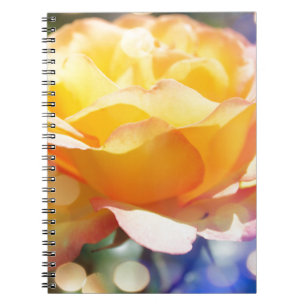 Gorgeous yellow rose flower. Floral photography. Notebook