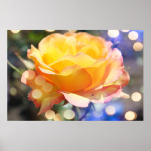 Gorgeous yellow rose flower. Floral photography Poster