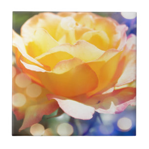 Gorgeous yellow rose flower. Floral photography. Tile