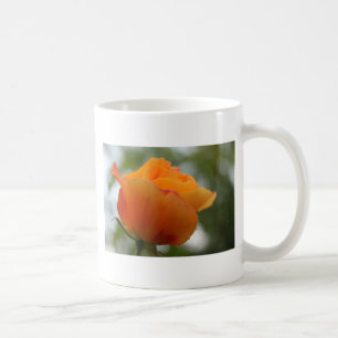 Gorgeous yellow rose flower photography. coffee mug