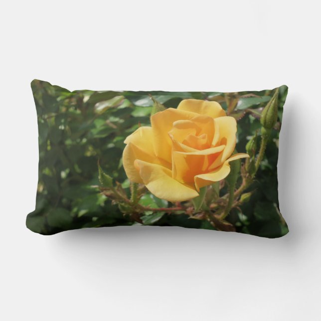 Gorgeous Yellow Rose Lumbar Pillow (Front)