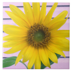 Gorgeous Yellow Sunflower Summer Bloom Ceramic Tile