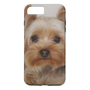 Gorgeous Yorkshire Terrier iPhone 8 Plus/7 Plus Case