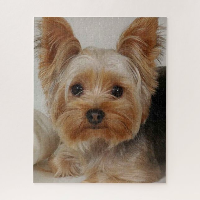 Gorgeous Yorkshire Terrier Jigsaw Puzzle (Vertical)