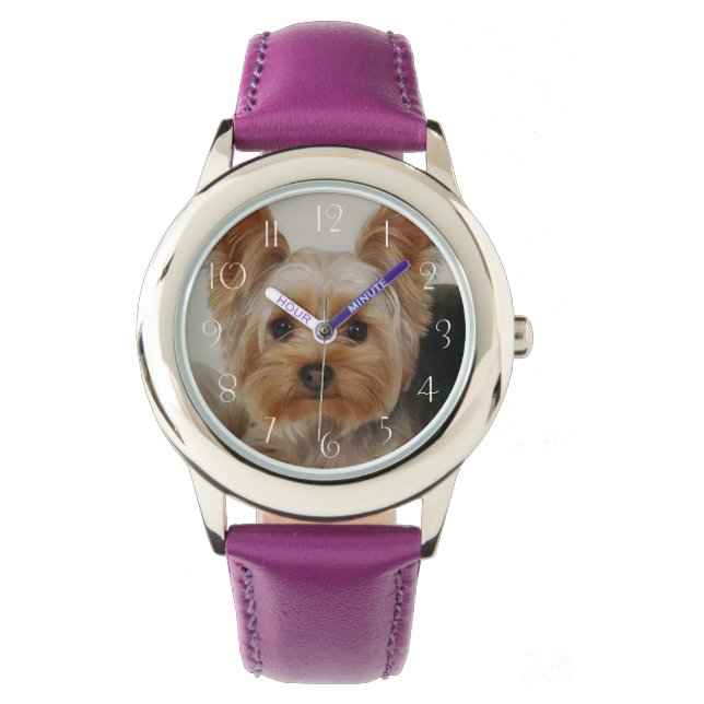 Gorgeous Yorkshire Terrier Watch (Front)