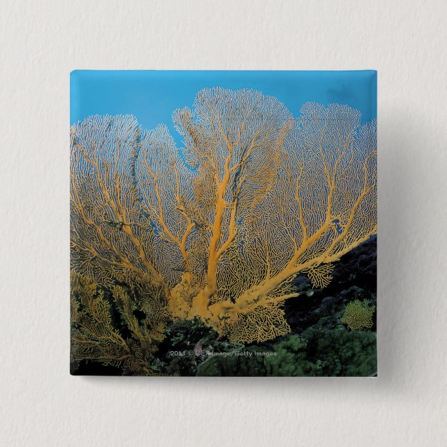 Gorgonian coral 15 cm square badge (Front)