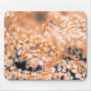 Gorgonian coral 2 mouse pad