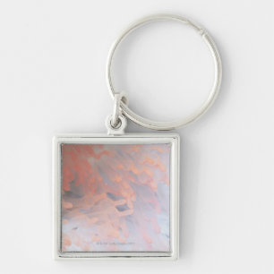 Gorgonian coral 4 key ring