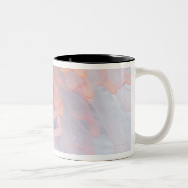 Gorgonian coral 4 Two-Tone coffee mug (Right)