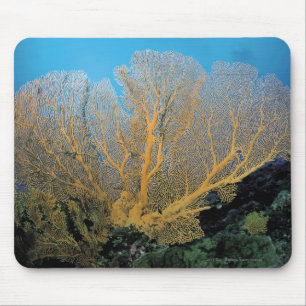 Gorgonian coral mouse pad