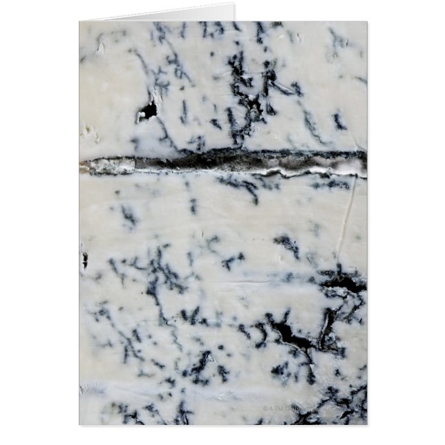 Gorgonzola Cheese (Front)