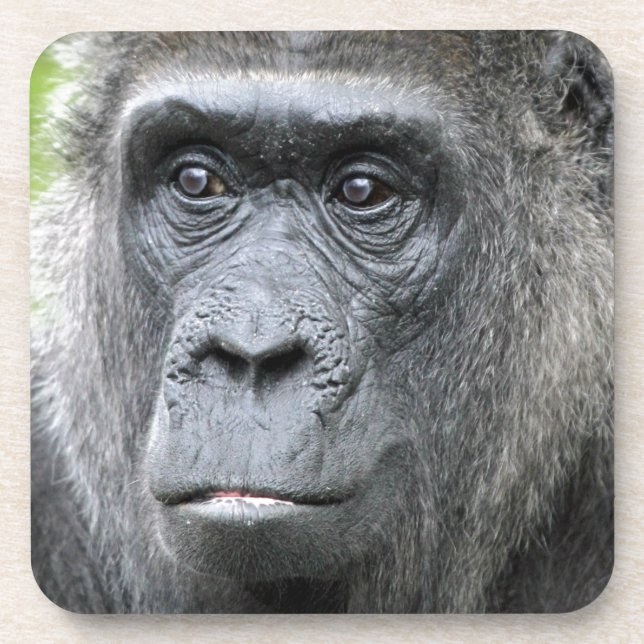 Gorilla 004 coaster (Front)