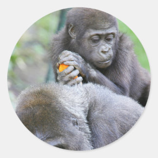Gorilla and Baby Classic Round Sticker