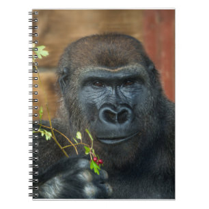 Gorilla And His Berries Notebook