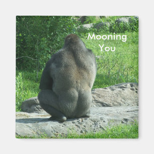 gorilla backside, Mooning You Magnet