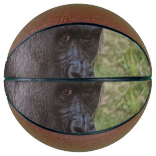Gorilla Basketball