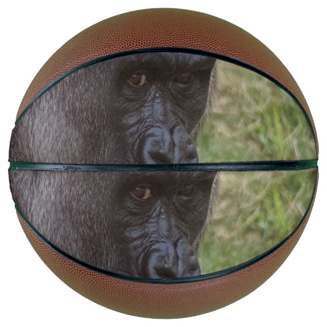 Gorilla Basketball (Front)