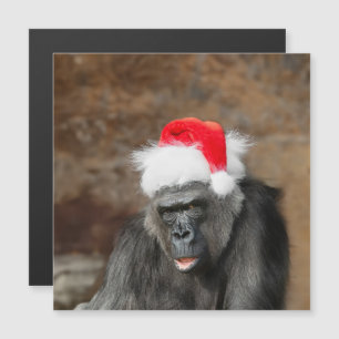 Gorilla Biddy in a Festive Christmas Hat Magnetic Invitation