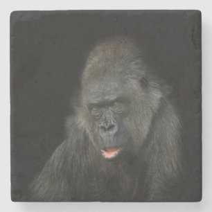 Gorilla Biddy Stone Coaster