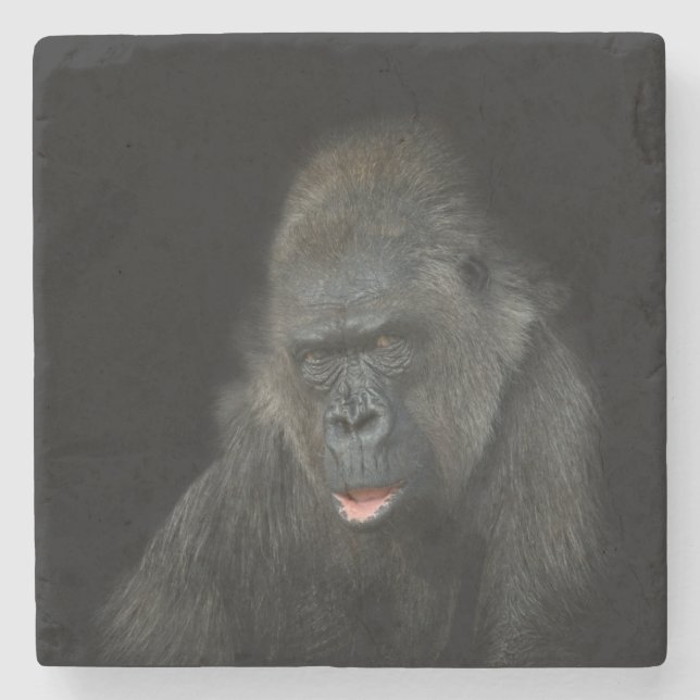 Gorilla Biddy Stone Coaster (Front)