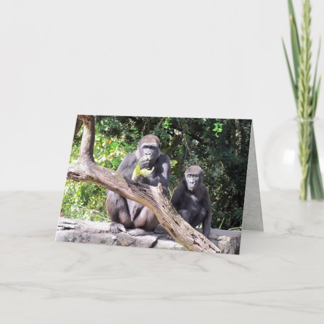 Gorilla Birthday Card (Front)