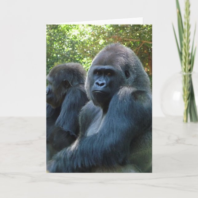 Gorilla Blank Greeting Card (Front)