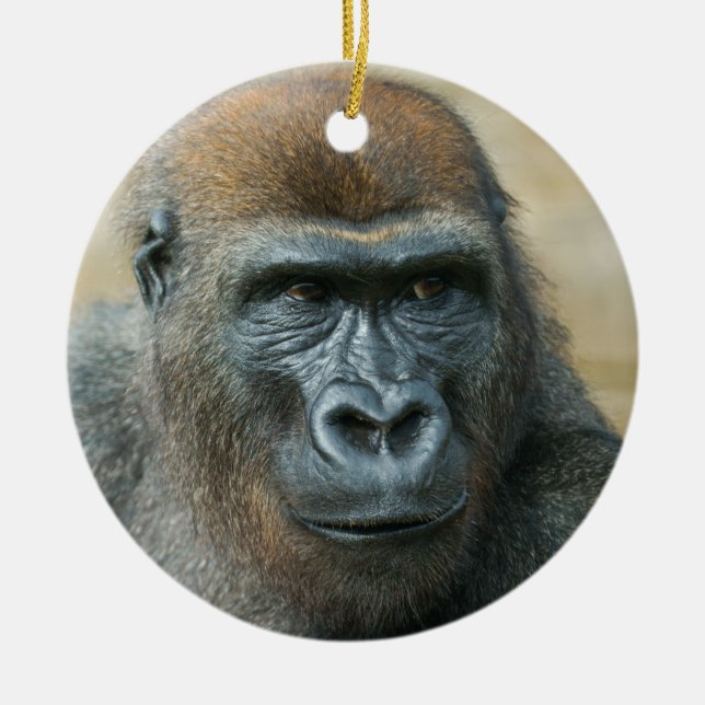 Gorilla Brothers Ceramic Ornament (Front)