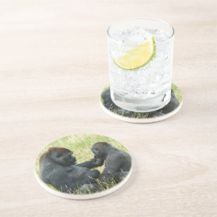 Gorilla Brother's Forever Coaster