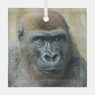 Gorilla Brothers - GoBros Glass Tree Decoration