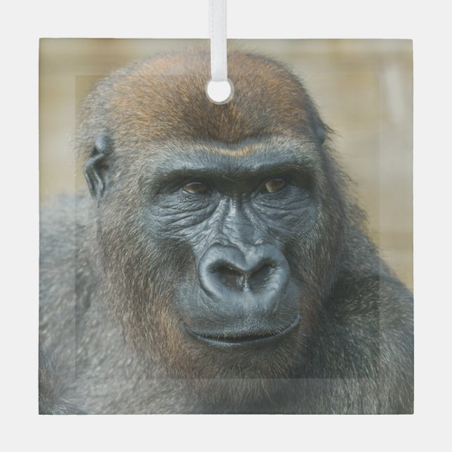 Gorilla Brothers - GoBros Glass Tree Decoration (Front)