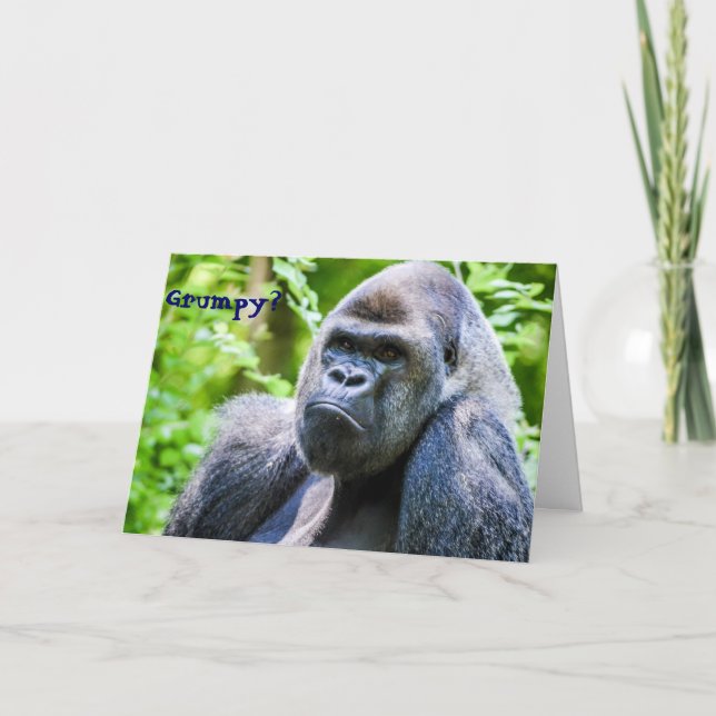 Gorilla Cheer Up Greeting Card (Front)
