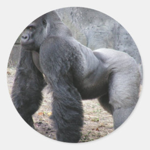 Gorilla Classic Round Sticker