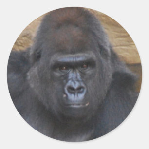 gorilla classic round sticker