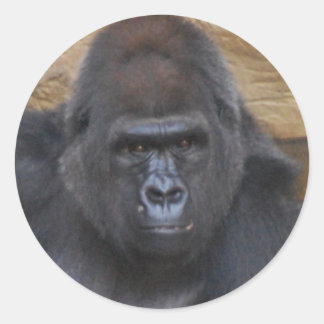 gorilla classic round sticker