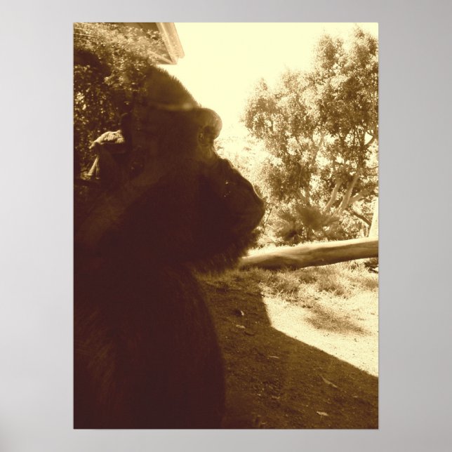 Gorilla Dreams Poster (Front)