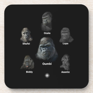 Gorilla Family Coaster
